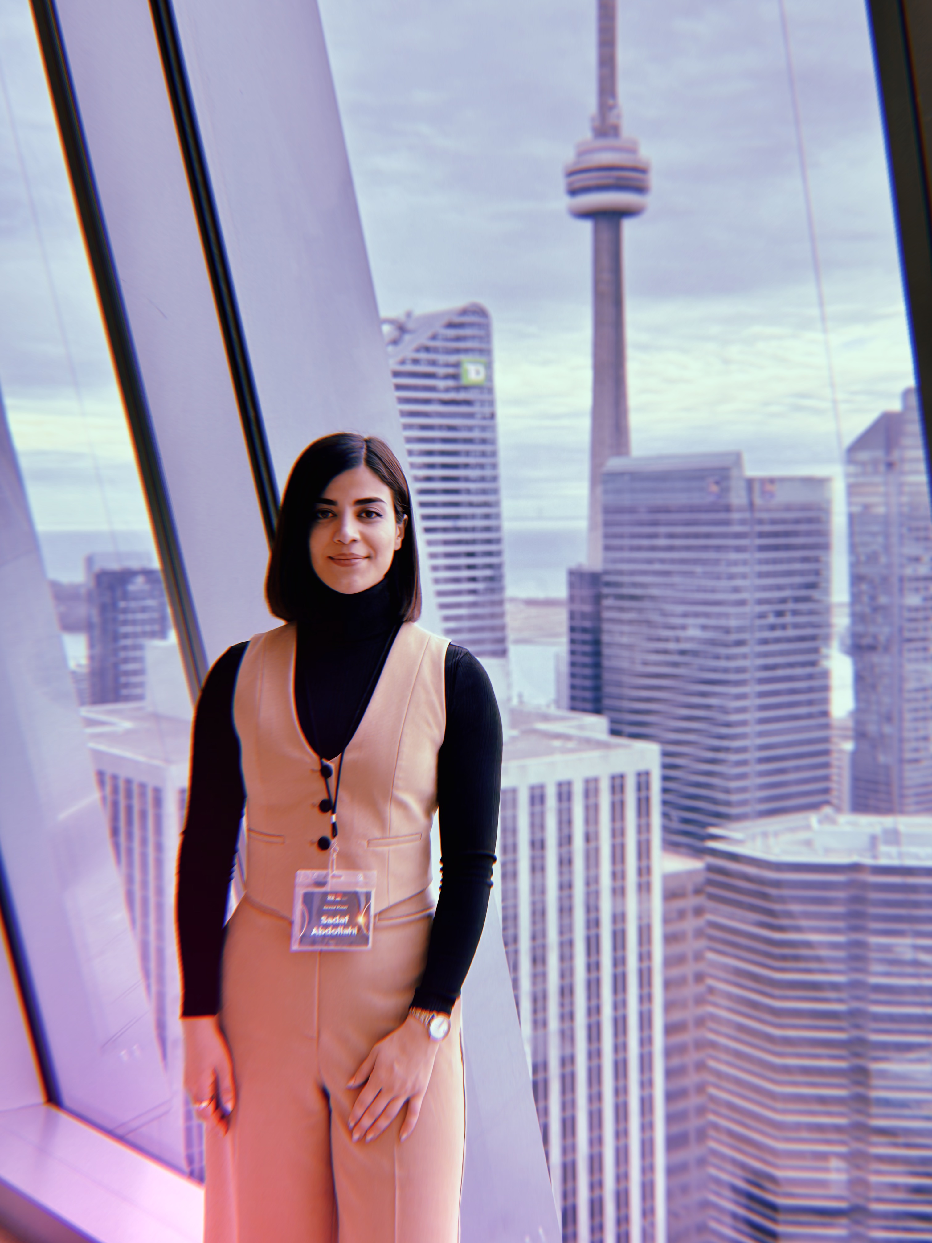 Sadaf Riaz Netsol Sadaf - Portfolio